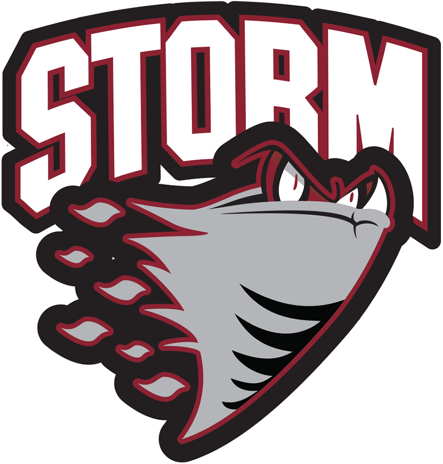 Guelph Storm 1997 98-2006 07 Primary Logo iron on paper